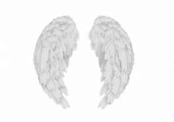 Wings | PNG | Photo Editing. ♡ | Pinterest