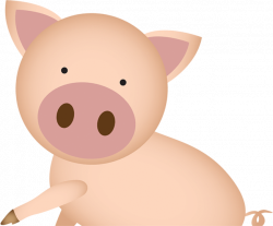Houghton Hams | Bringing the best british pork from regional farms