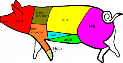 Pork Fresh Ham Center Slice, Pork Fresh Ham Rump Portion,... - ThingLink
