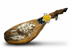 jamon png - Free PNG Images | TOPpng