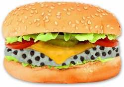 hamburger png - Free PNG Images | TOPpng
