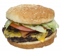 Delicious Hamburger PNG Image - PurePNG | Free transparent CC0 PNG ...