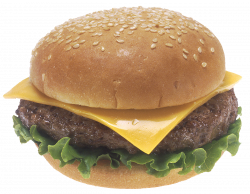Image result for burger transparent | Stuff | Pinterest | Burgers