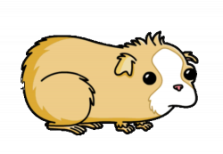 Cartoon Guinea Pig Pictures | Free download best Cartoon Guinea Pig ...