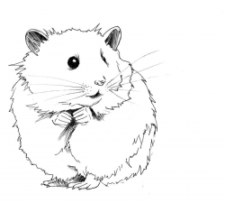 Image result for hamster clipart | Painted plates | Drawings ...