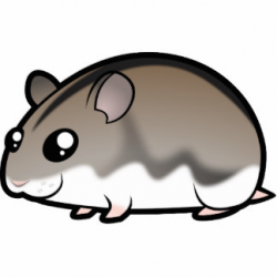 Dwarf Hamster Clipart at GetDrawings.com | Free for personal ...