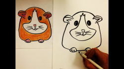 How to draw a hamster for kids