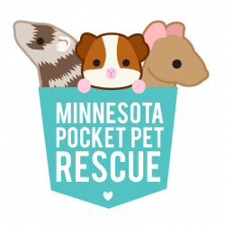 Pets for Adoption at MN Pocket Pet Rescue, in Saint Paul, MN | Petfinder