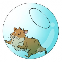 Hamster Balls: Choosing a hamster exercise ball! | The ...