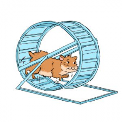 Hamster Wheels: Why your hamster needs a hamster wheel | The ...