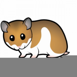 Hamster Cartoon | Free Images at Clker.com - vector clip art ...