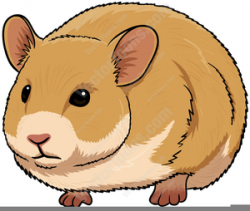 Cartoon Hamster Clipart | Free Images at Clker.com - vector ...