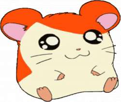 Hamster Sticker by imoji for iOS & Android | GIPHY