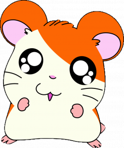 Hamster Sticker by imoji for iOS & Android | GIPHY