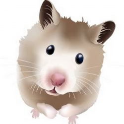 Hamster Clipart furry animal 1 - 900 X 900 Free Clip Art ...