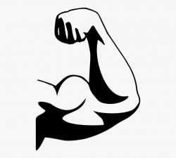 Biceps Muscle Forearm Human Body - Biceps Clipart #1723311 ...
