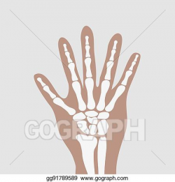 Vector Art - Wrist hands bones. Clipart Drawing gg91789589 ...