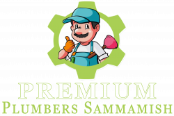 At Sammamish Plumber, we are committed to delivering the most ...