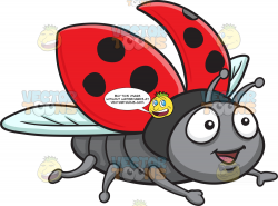 An Excited Flying Ladybug