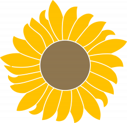 File:Sunflower from Mediawiki logo reworked 2.svg - Wikimedia Commons
