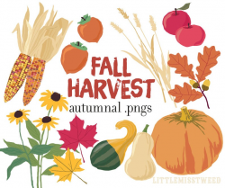 Fall Harvest autumn clipart pumpkin black-eyed susan maple leaves Native  American corn persimmons wheat commercial use clip art .png digital