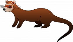 Mongoose Clipart weasel - Free Clipart on Dumielauxepices.net