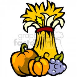 A Tied Bunch of Wheat Sitting Next to Some Pumpkins and a Bunch of Grapes  clipart. Royalty-free clipart # 145413
