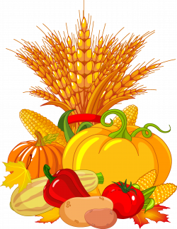 Harvest festival Autumn Fruit Clip art - Thanks Giving 2741*3543 ...