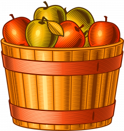 Harvest Autumn Adobe Illustrator - Apple harvest 1200*1272 ...