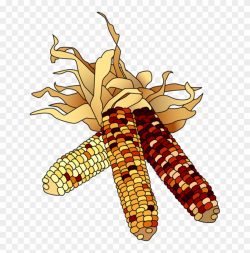 Indian Corn Image Png Clipart - November Clip Art Free ...