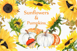 Watercolor Sunflower clipart Pumpkin clipart Sunflower wedding Yellow  Flower clipart Harvest clipart Thanksgiving