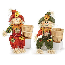 Scarecrow Decorations: Amazon.com