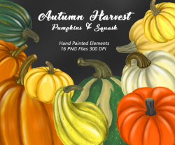 50% OFF Autumn Harvest Clipart, Pumpkin Clipart, Squash Clipart, Halloween,  Thanksgiving, Fall, Hand Painted Clipart, Hand Painted Pumpkins