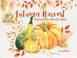 Autumn Harvest - Watercolor Clipart, Pumpkin, Squash, halloween,  Thanksgiving