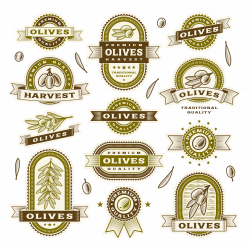 Apple Royalty-free Vintage Clip art - Beautifully retro olive branch ...