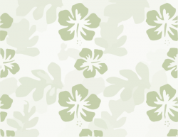 Free Hawaiian Background Cliparts, Download Free Clip Art ...