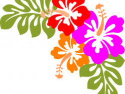 Polynesian Clipart Group (86+)