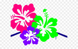Hibiscus Clipart Small - Hawaiian Clipart Border Design ...