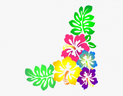 ← Hawaiian Flower Clipart - Flower Design Colorful #14351 ...