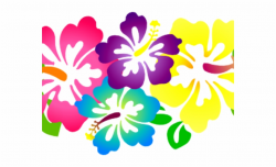 Hawaii Clipart Hawaiian Floral - Hibiscus Clip Art ...