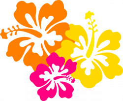 Free Hawaii Flower Png, Download Free Clip Art, Free Clip ...