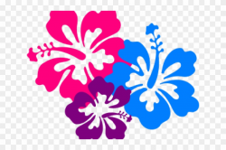 Flowers Borders Clipart Hawaiian Flower - Flowers Of Hawaii ...
