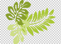 Hawaii Leaf PNG, Clipart, Black And White, Branch, Buckeye ...