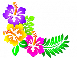 Hawaii Clipart coconut tree - Free Clipart on Dumielauxepices.net