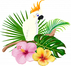 Parrot Bird Floral design - White parrot 1927*1793 transprent Png ...