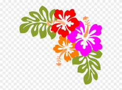 Hawaii Luau Clipart - Hawaiian Flowers Transparent ...