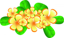 Hawaiian plumeria flowers clipart image tropical typical of ...