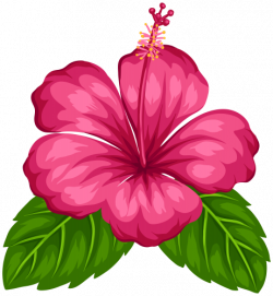 HAWAIIAN ALOHA TROPICAL | flower | Pinterest | Hawaiian, Moana and ...