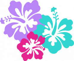 Image - Hawaii flower.png | Girl Meets World Wiki | FANDOM powered ...