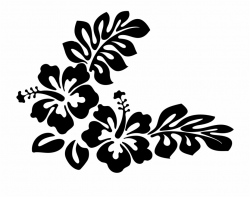 Flower Clipart Black And White - Hawaiian Flowers Clip Art ...